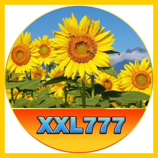 Imagem promocional da XXL777 mostrando a plataforma e suas vantagens